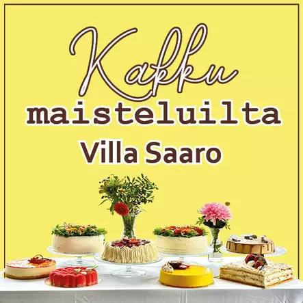 KAKKUMAISTELUILTA VILLA SAARO 25.3. - BRUNSSIT VILLA SAARO - 130015128-1 - 3
