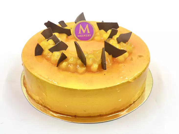 MANGOKAKKU 10 HLÖ ( VEG.) - KAKUT - 10021062 - 2