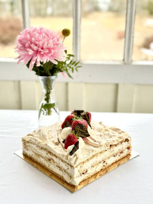 BRITAKAKKU- MANSIKKA L - KAKUT - 10031014-Y - 1